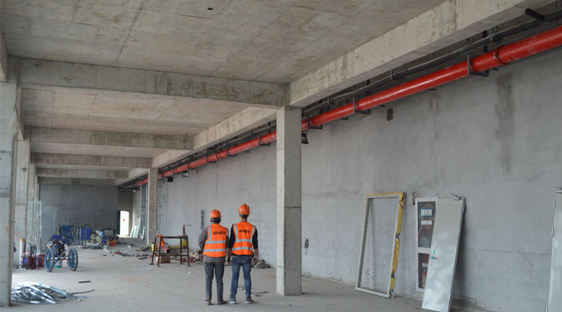 Զ������